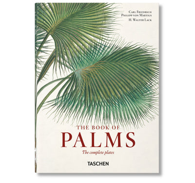 MARTIUS THE BOOK OF PALMS
