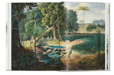 MARTIUS THE BOOK OF PALMS