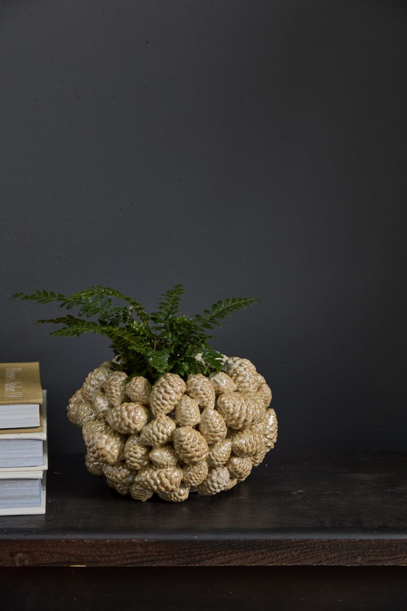 Pine Gold Pot S