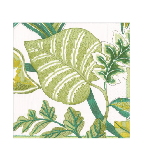 Florida Paper Cocktail Napkins in Ivory