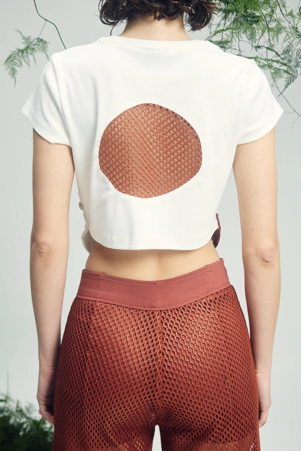 Elaphinae T Shirt Ivory Bronce