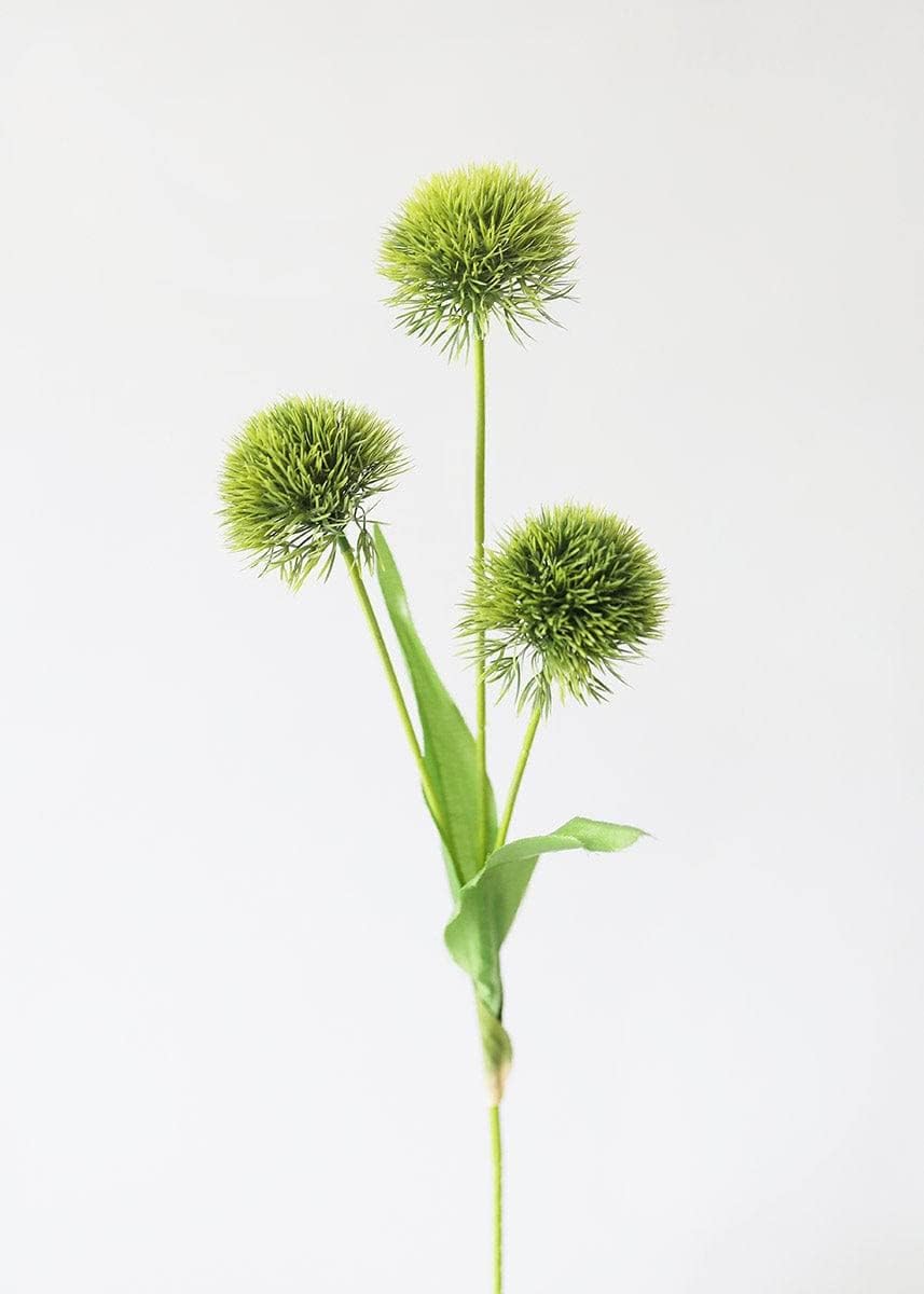 Green Ball Flower Stem