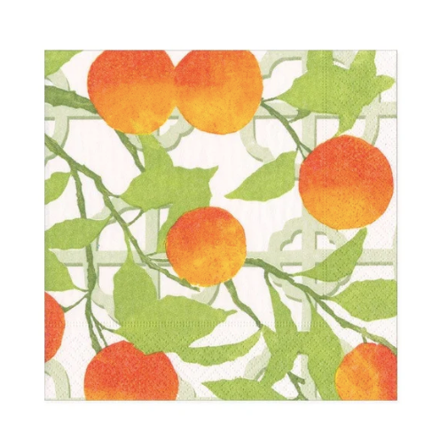 Orange Grove Paper Cocktail Napkins