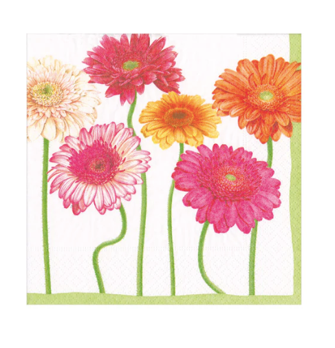 Blooming Daisy Paper Cocktail Napkins