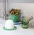 Butter dish perle green