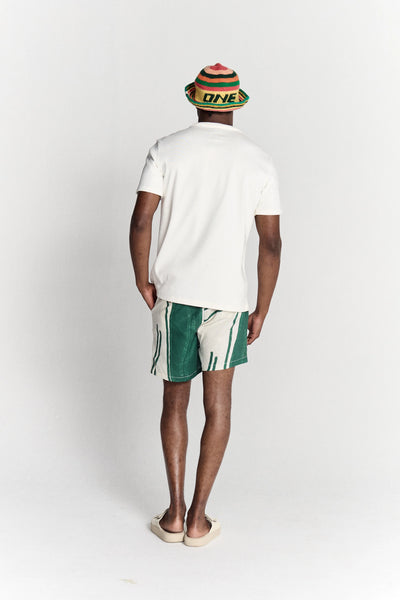 Iguana TShirt