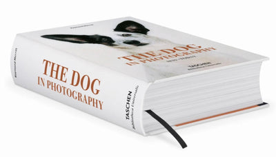DOG IN PHOTOGRAPHY 1839-TODAY