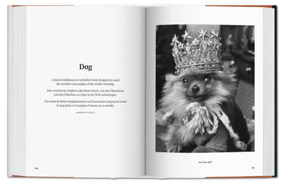 DOG IN PHOTOGRAPHY 1839-TODAY