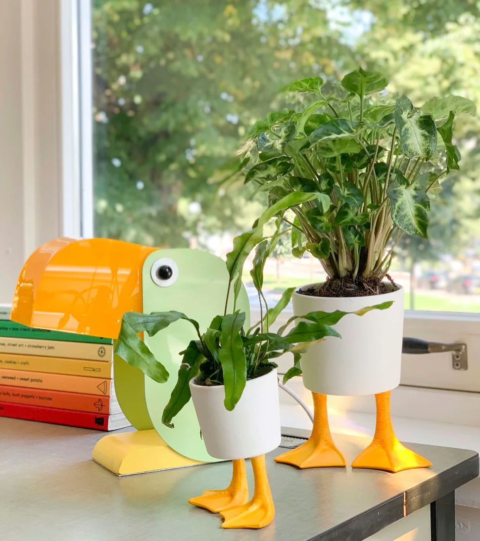 Duck Feet Planter