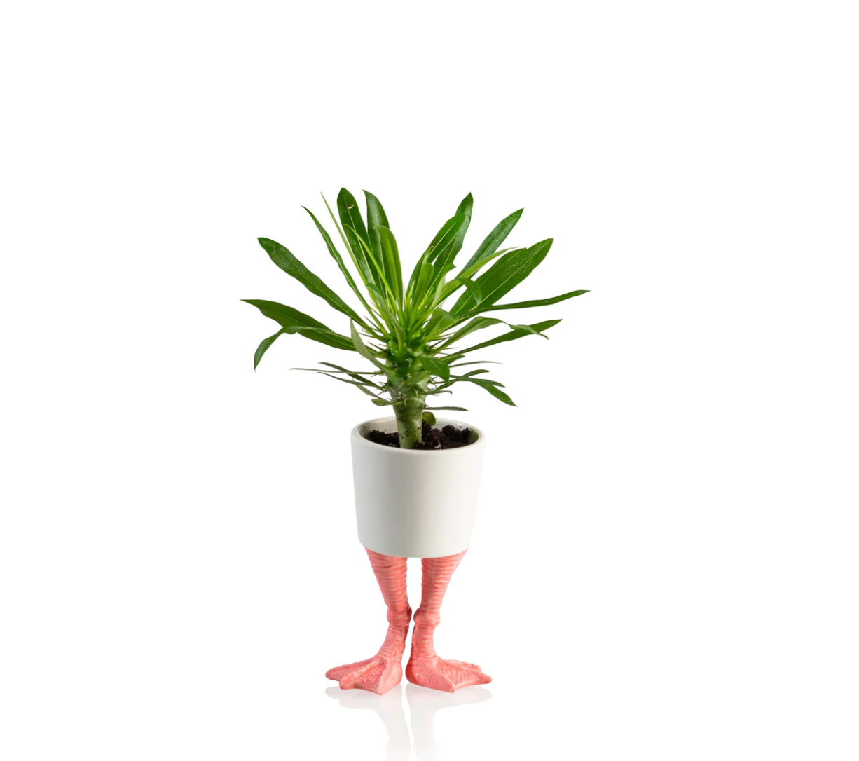 Flamingo Feet Planter Small