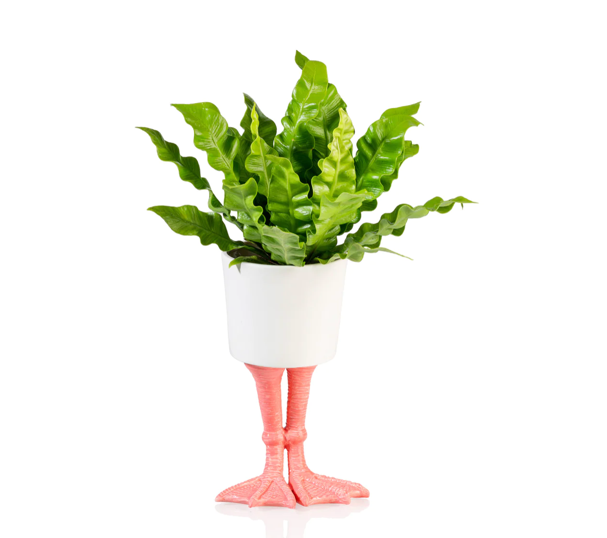 Flamingo Feet Planter Large