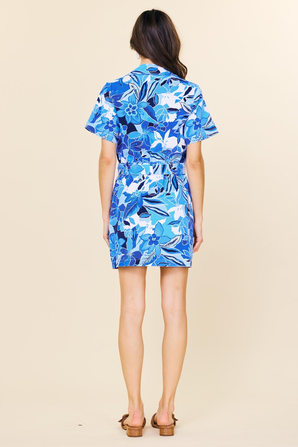 Mina Dress Colbat