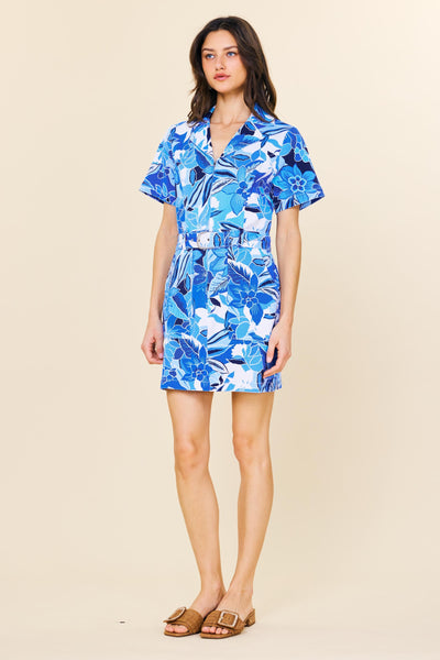 Mina Dress Colbat