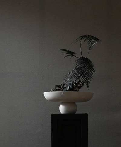 Baburu Bowl Big Birch