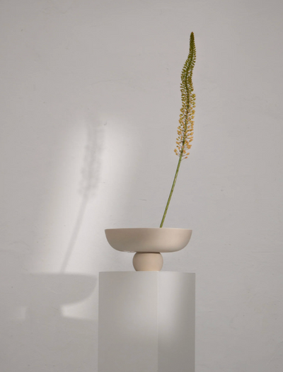 Baburu Bowl Medio Birch