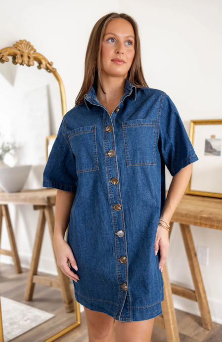 Ainsley Dress Denim