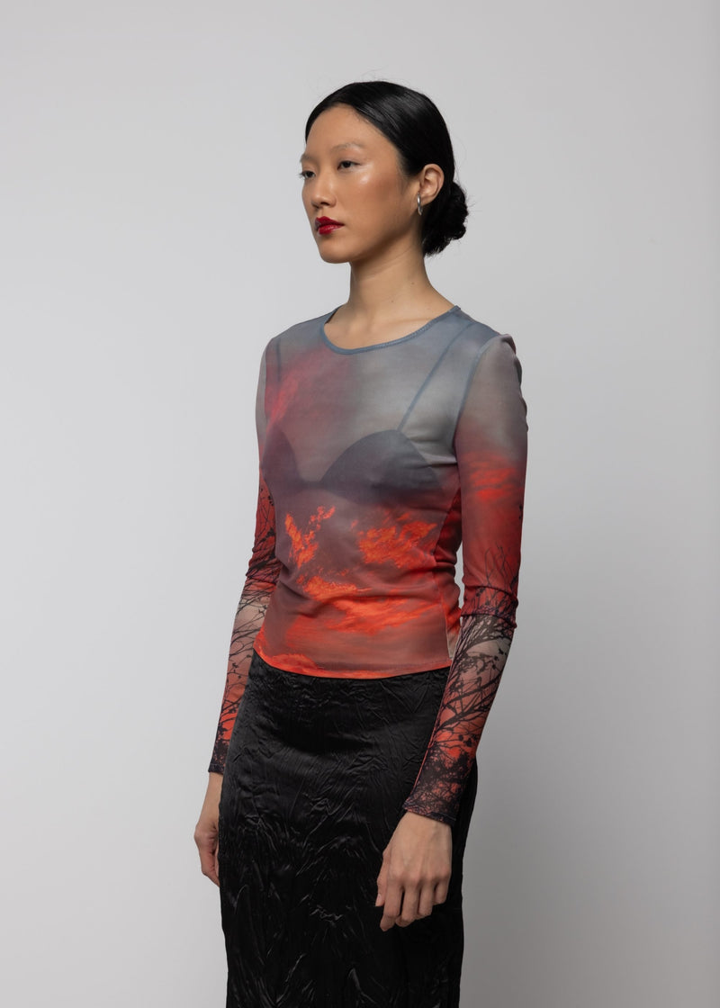 Melissa Top Mesh Print