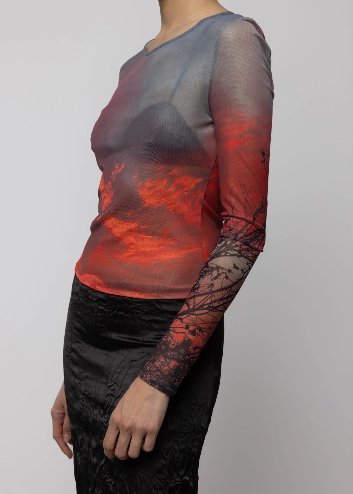 Melissa Top Mesh Print