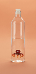 Octopus Bottle
