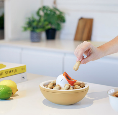 Hungry Bird Snack Tray