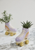 Rollerskate Planter