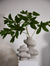 Ambit Vase 14x8x16