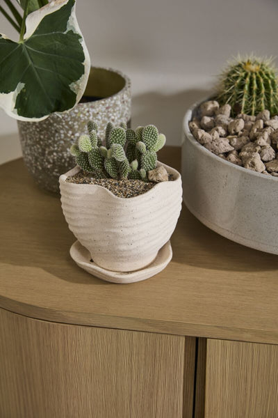 Highland Pot with Saucer