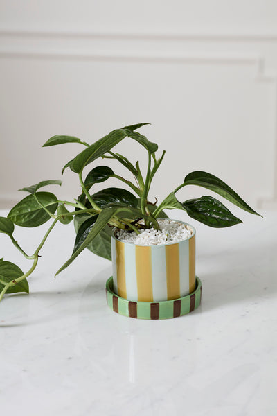 Joyelle Pot with Saucer