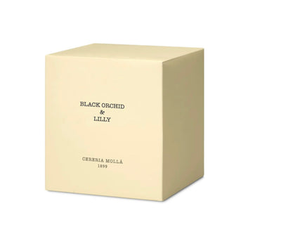 Black Orchid & Lily Ivory XL Candle