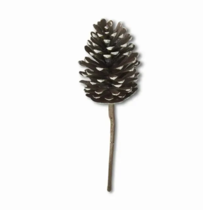 Natural Pinecone Pick