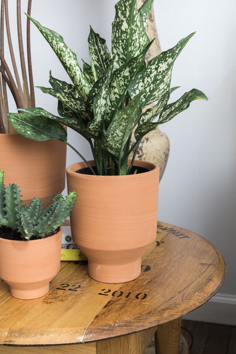 Crescendo Pot