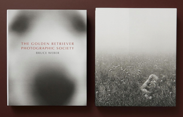 The Golden Retriever Photographic Society