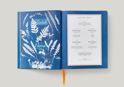 Anna Atkins Cyanotypes