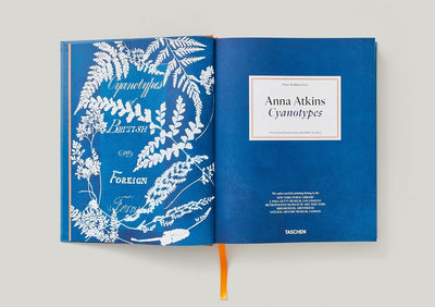 Anna Atkins Cyanotypes