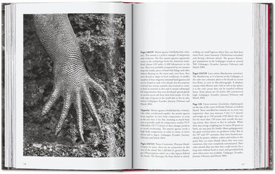 Sebastiao Salgado Genesis