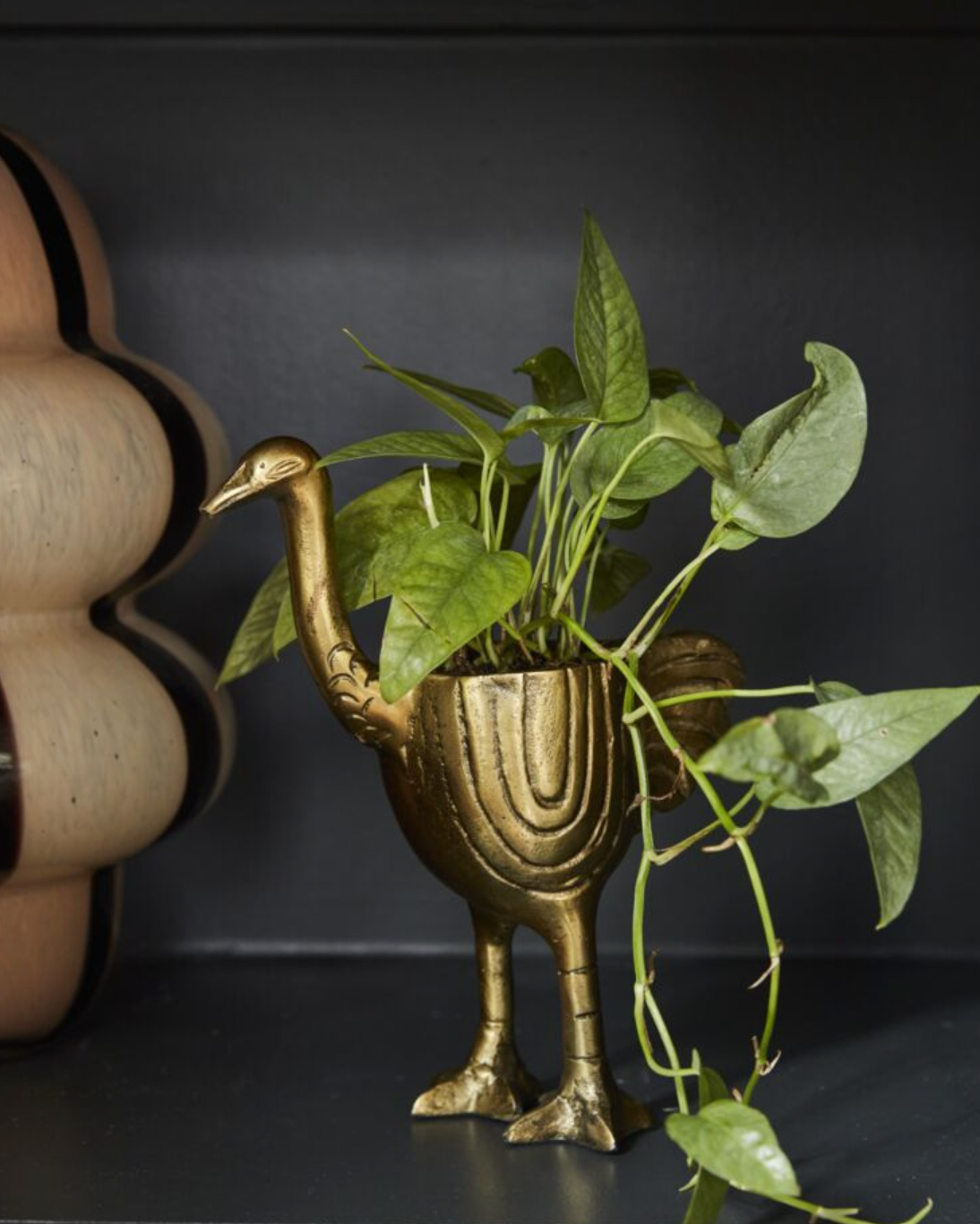Ostrich Pot