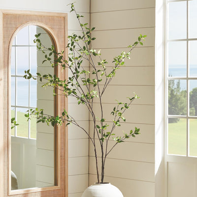 Pittosporum Branch 78in