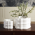 Crescent Printed Vase Matte White Lg