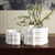 Crescent Printed Vase Matte White Sm