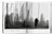 NEW YORK PORTRAIT OF A CITY