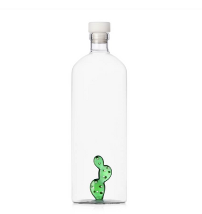 Bottle Cactus Green White