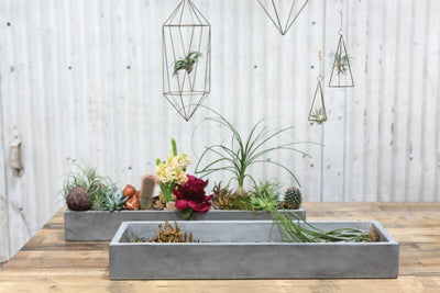 Newport Planter