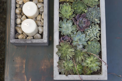 Newport Planter