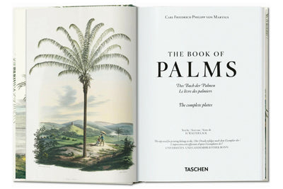 MARTIUS THE BOOK OF PALMS