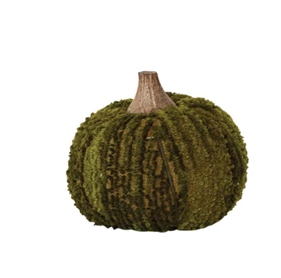 Velvet Pumpkin w Wood Light Green