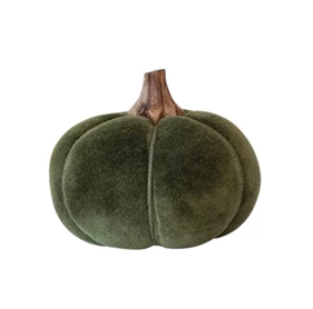 Velvet Pumpkin w Wood Green