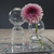 Ritz Single Stem Glass Vase Clear