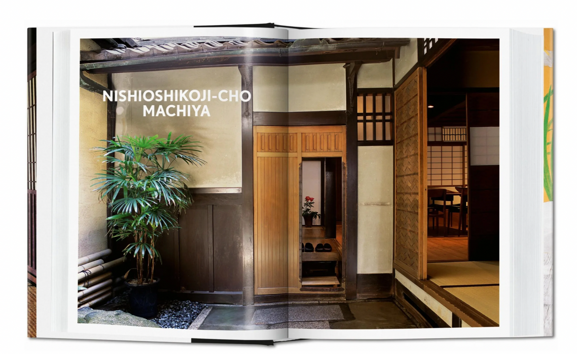 Living in Japan 40TH