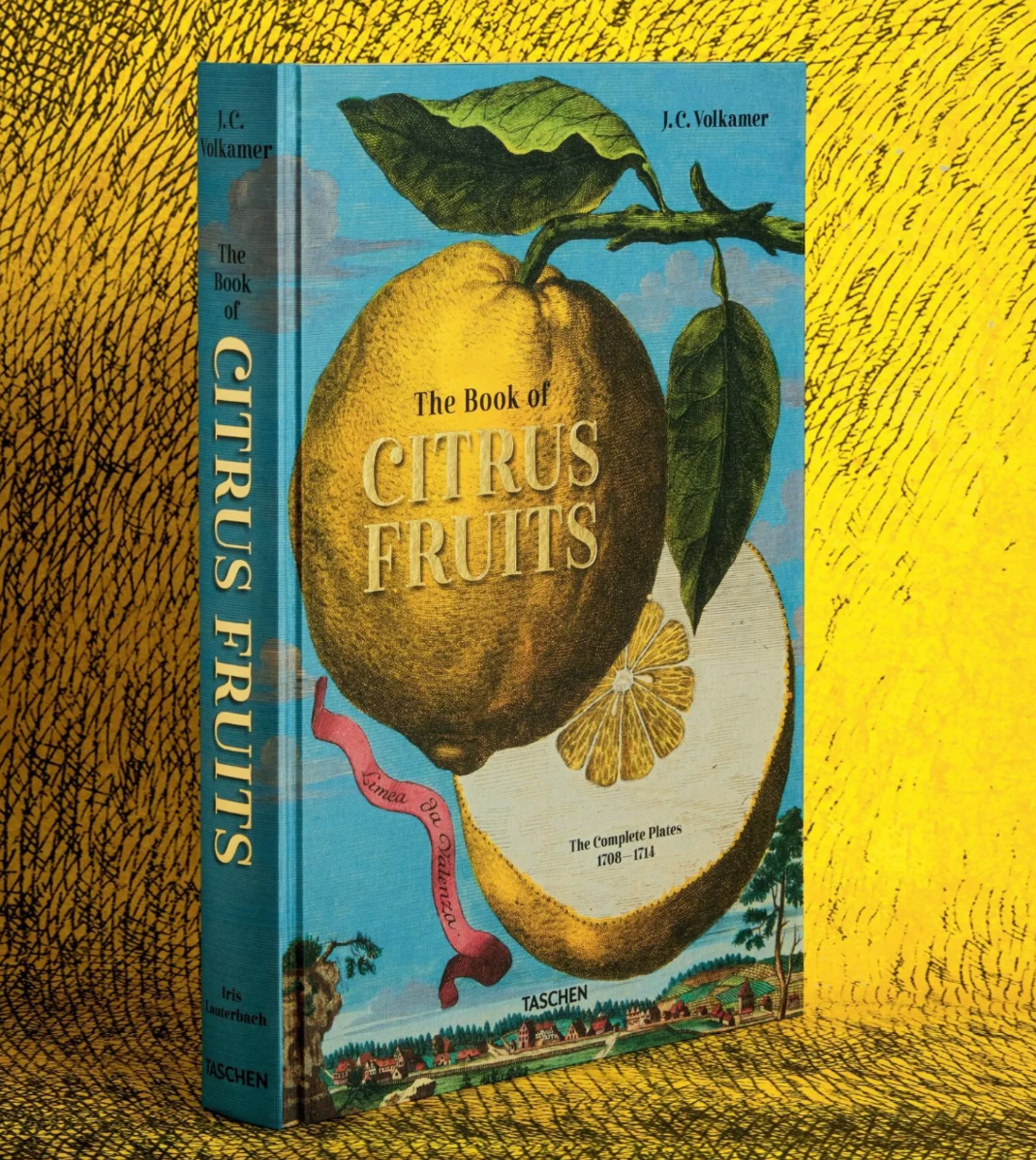 J C Volkamer the Bk of Citrus Fruits