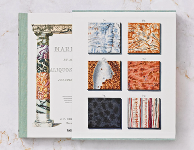 Jan Christiaan Sepp the Bk of Marble